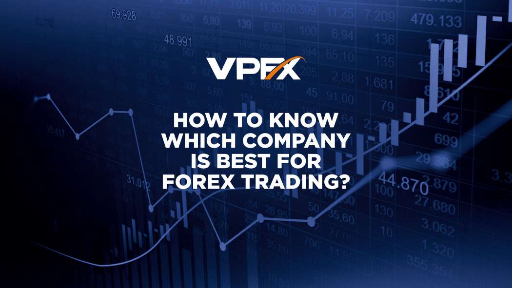 You are currently viewing How to Know Which Company is Best for Forex Trading
