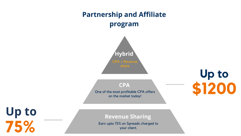 Partnership and Affiliate Program